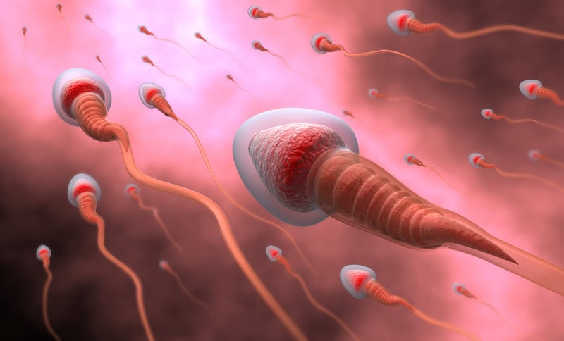 Técnicas de fertilidad para lograr el embarazo