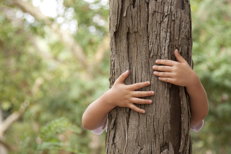 Los niños deben cuidar el medio ambiente