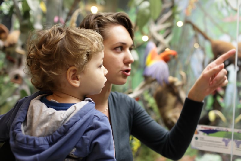 ¿Alguna vez has llevado a tu hijo a un museo?